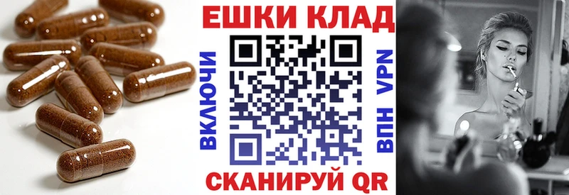 где продают   Павловск  Экстази Philipp Plein 