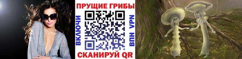 Галлюциногенные грибы GOLDEN TEACHER  Павловск 